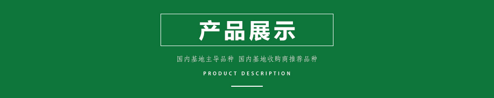 1557797644185401.jpg 00新產(chǎn)品.jpg