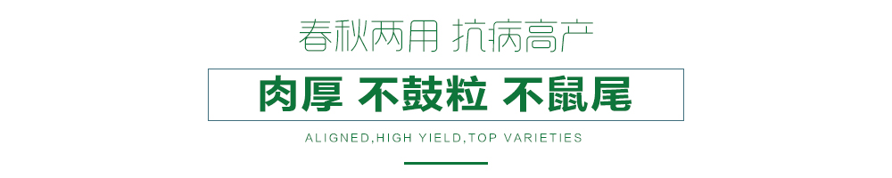 1557901309450182.jpg 詳情頁21.jpg