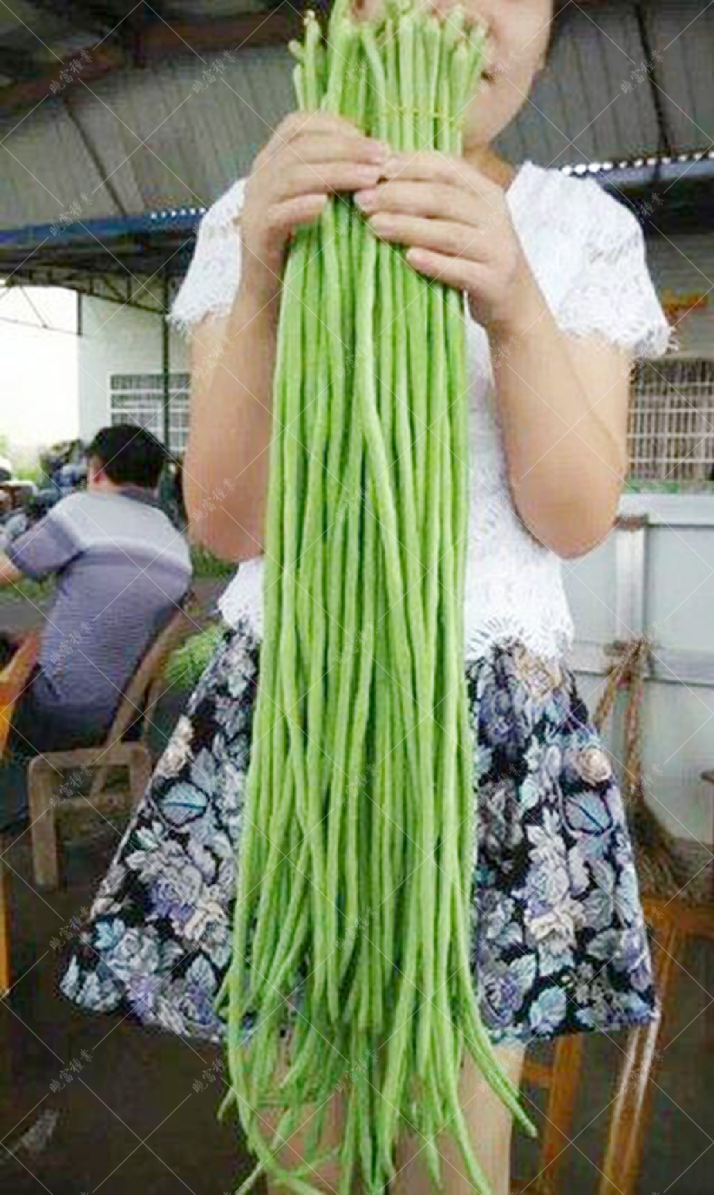 1557906223169769.jpg 未標題-1.jpg