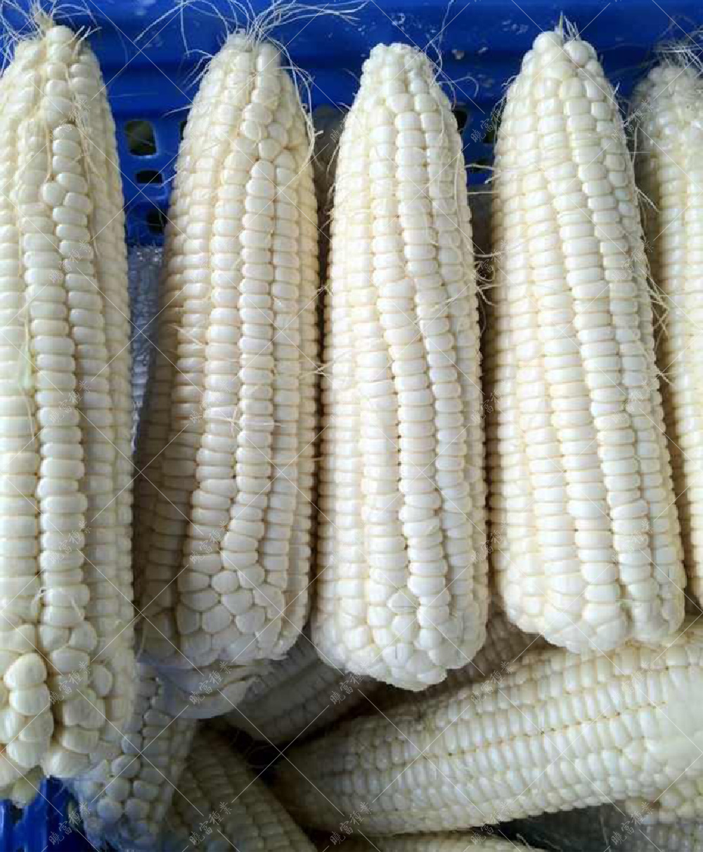 1558343403791593.jpg 41.jpg