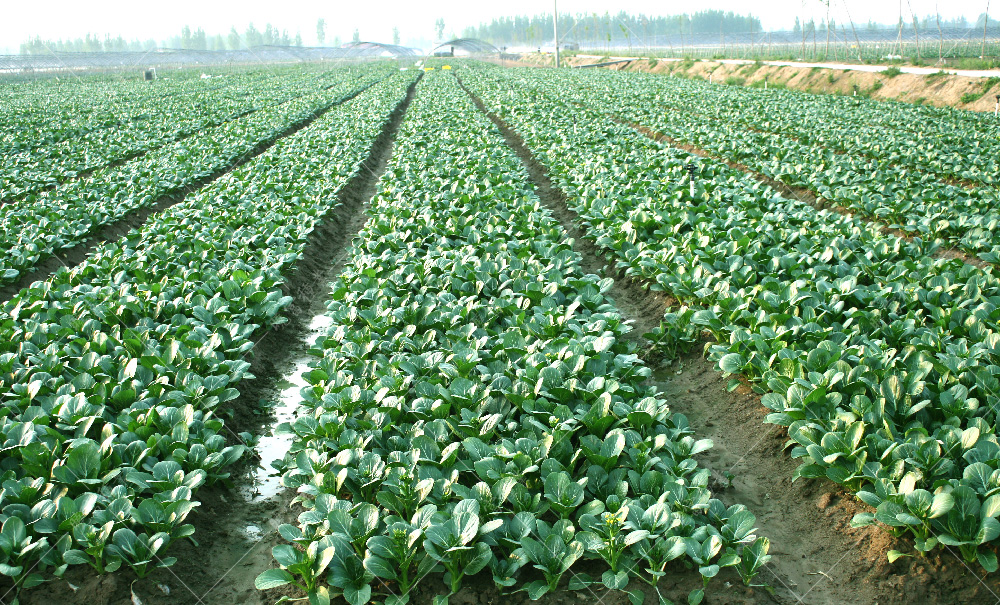 1558596916636583.jpg Nipic_14152141_20140410132044470144.jpg