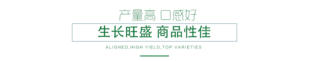 1585788703299982.jpg 03.jpg