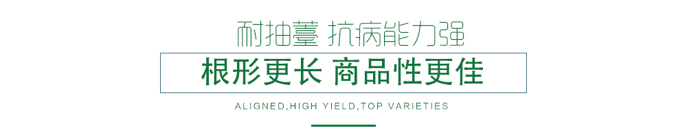 1585790002344204.jpg 03.jpg