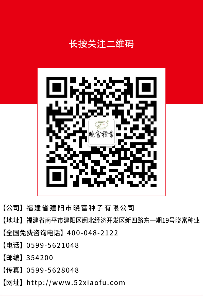 1600250964262612.jpg 頁底.jpg